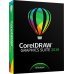 CorelDRAW Graphics Suite Abbonamento di 365 giorni IT per Mac immagine